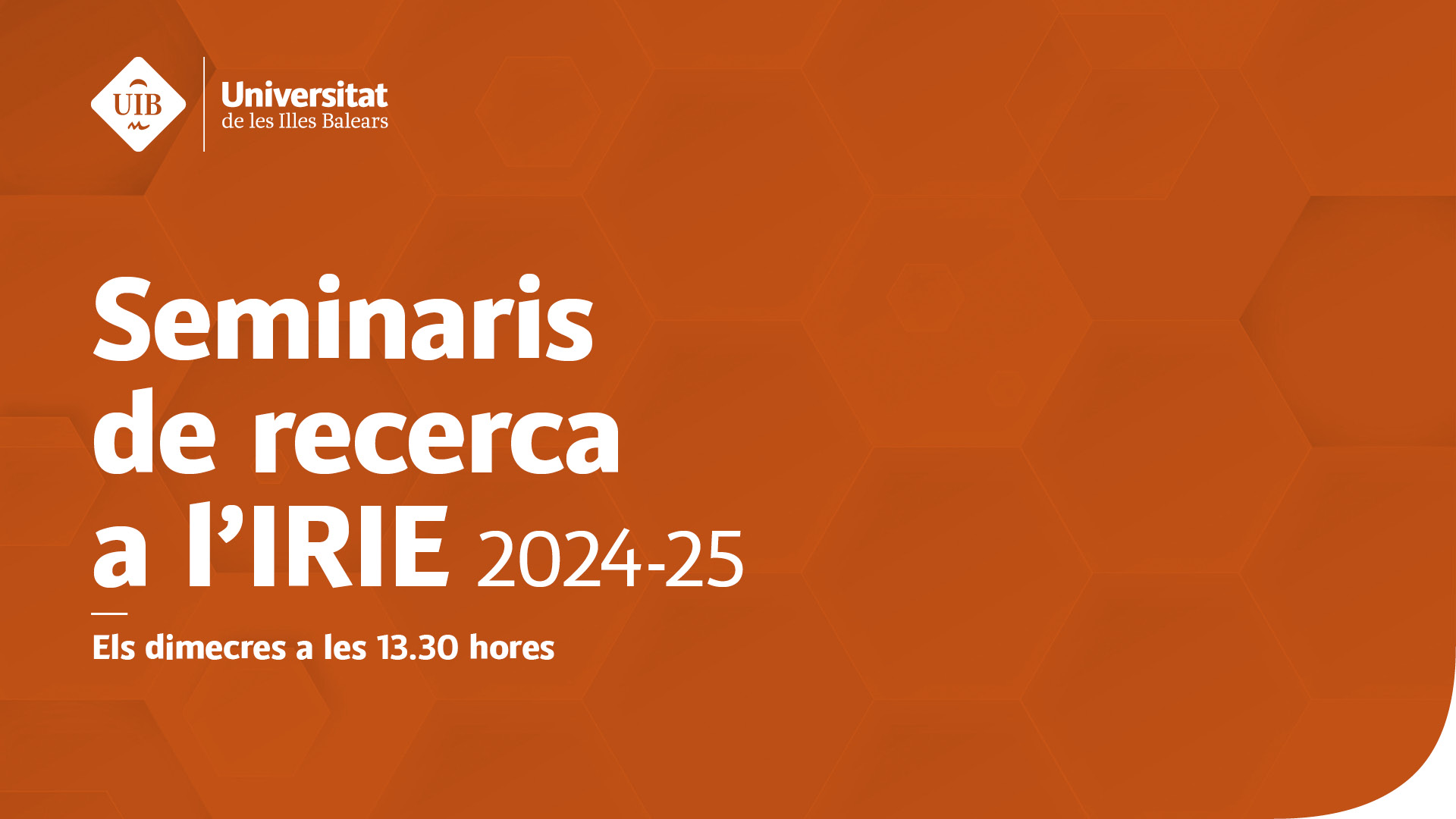 002 XiFB Seminaris recerca IRIE
